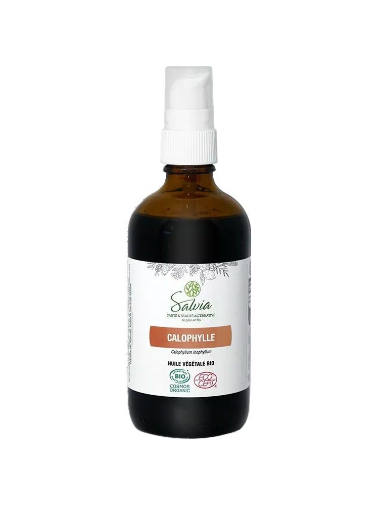 Salvia Nutrition Huile Végétale Calophylle Biologique 100 ML